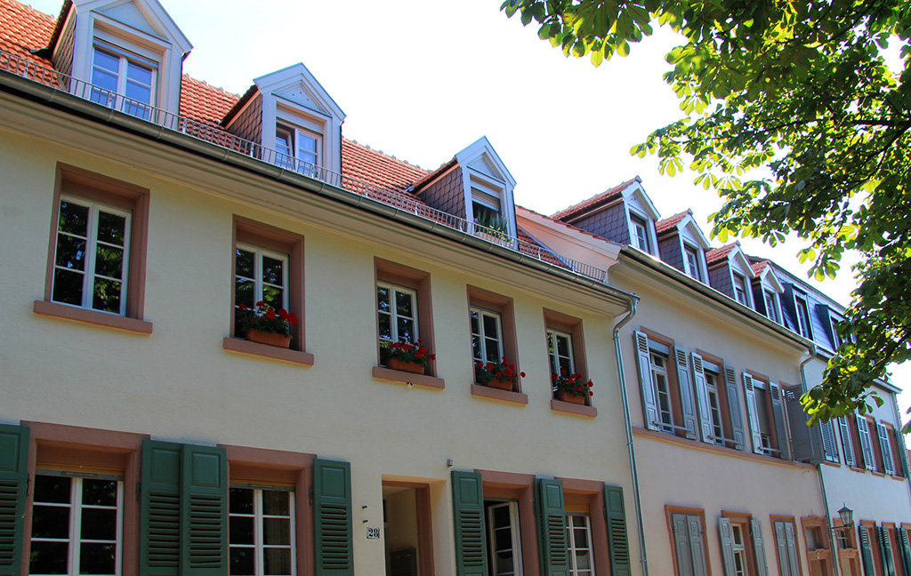 Dachsanierung Heidelberger Altstadt