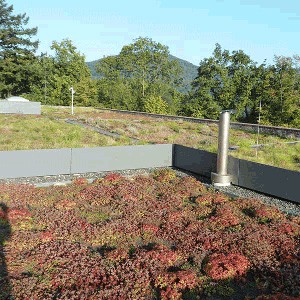 Heidelberger Institut für theoretische Studien