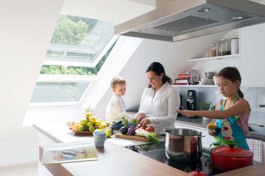 velux_99386_haus_zebra_86501